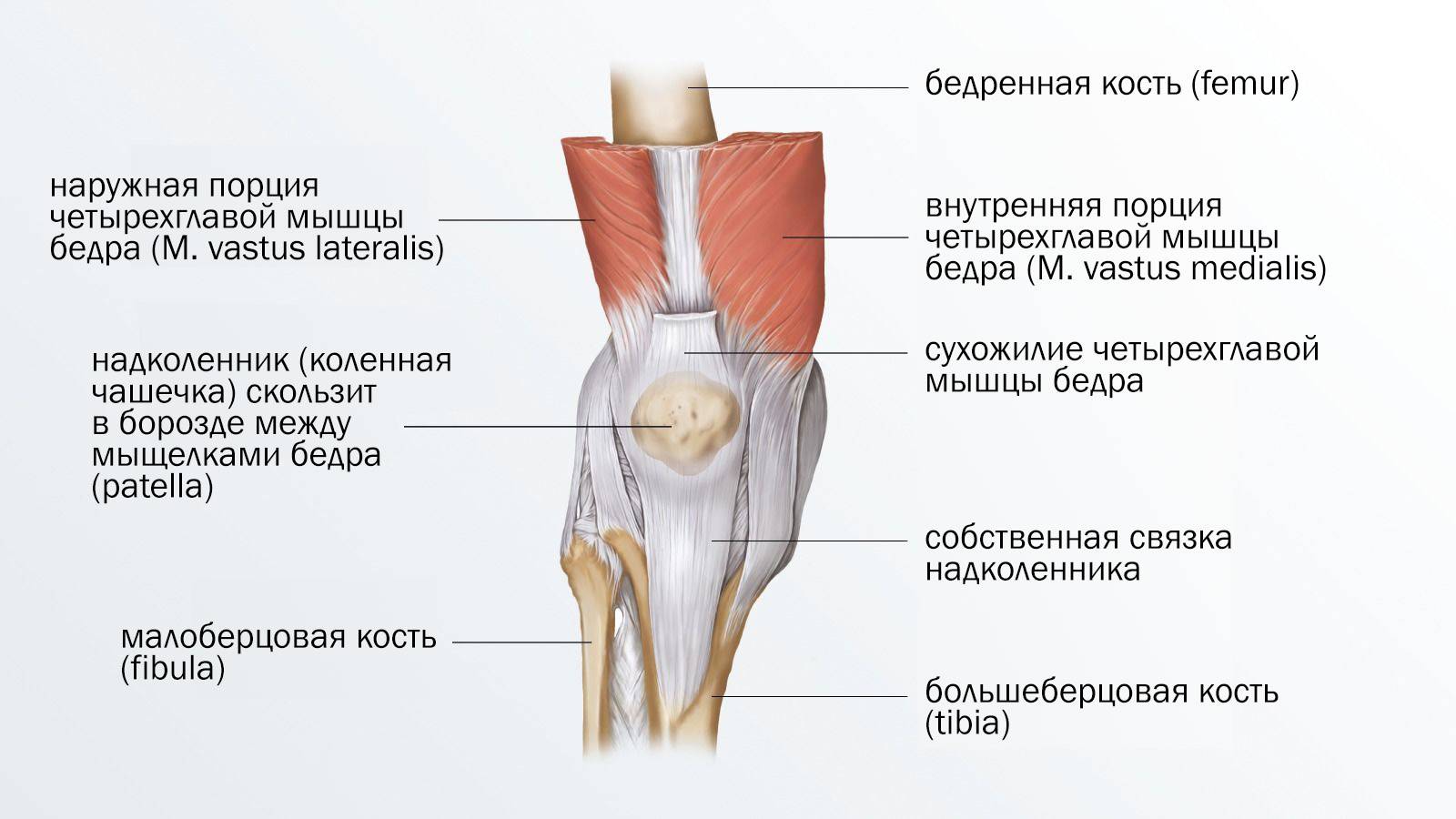 Пателлофеморальный болевой синдром коленных суставов