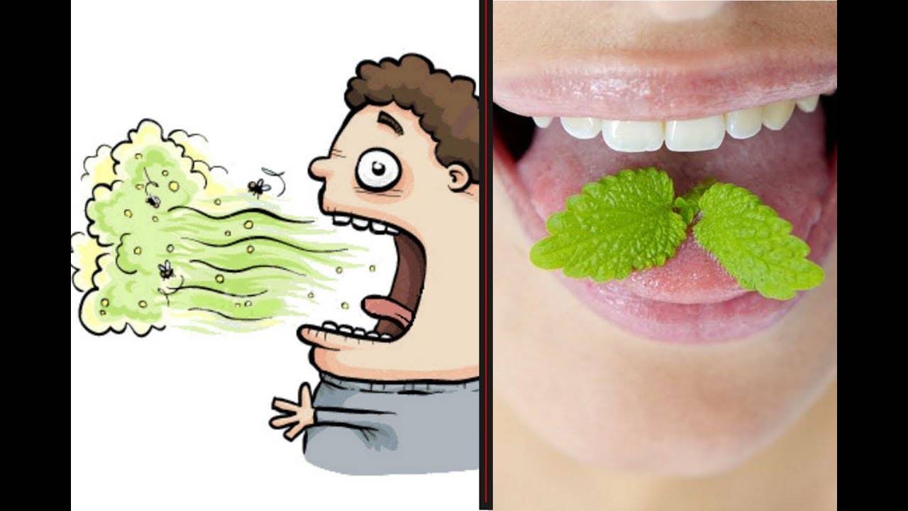 Запах после удаления зуба мудрости это нормально | tsitologiya.su