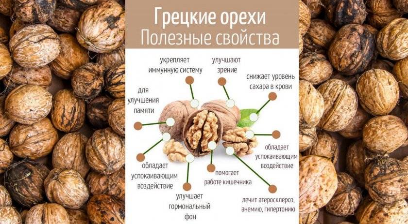 Кедровые орехи при гастрите: можно ли есть плоды, как правильно выбрать продукт и какие вещества содержит, когда употреблять орешки запрещено?