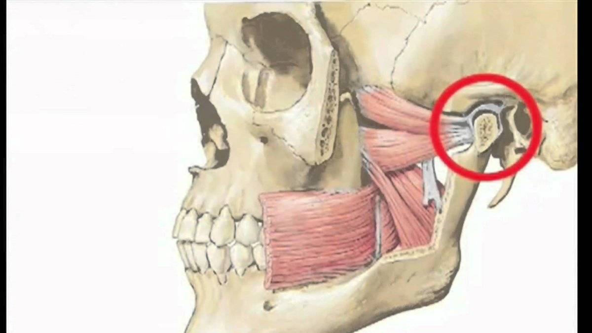 Щелкает челюсть при открытии рта – причины и лечение | medboli.ru