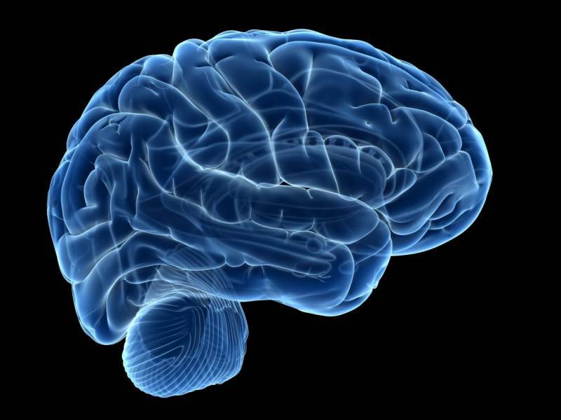 Парциальная эпилепсия: причины, симптомы, лечение
