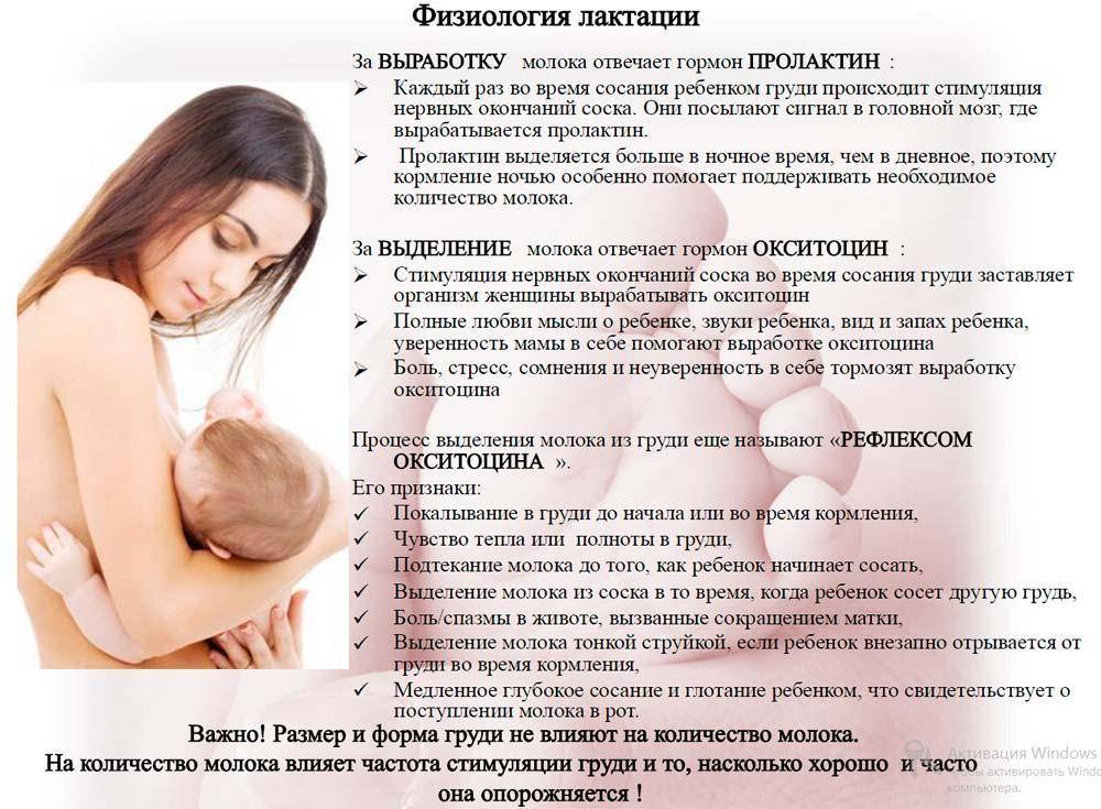 Уплотнение в груди при беременности: причины появления у женщин, норма, аномалия, диагноз и факторы риска
