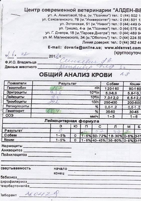 Анализ мочи при панкреатите. Общий анализ крови при остром панкреатите показатели. Общий анализ крови при хроническом панкреатите показатели. Биохимический анализ крови при хроническом панкреатите показатели. Пример анализов крови при хроническом панкреатите.