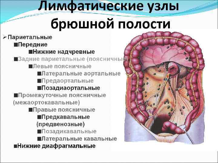 У ребенка увеличены лимфоузлы в брюшной полости: причины и лечение