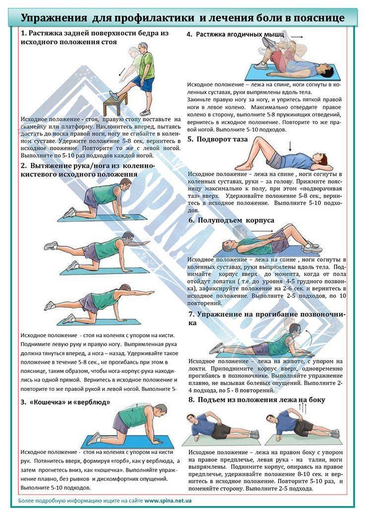 Боли в спине. лечение – 5 упражнений от бубновского. упражнения бубновского для спины