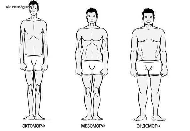 Пропорции тела и конституционные типы. | визуальная ревматология