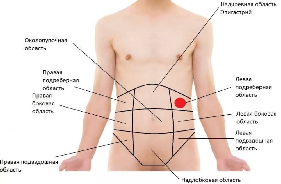 Что болит у человека в левом боку ниже ребер: причины и лечение боли спереди и сзади