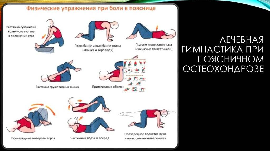 Гимнастика для спины при остеохондрозе: комплексы упражнений