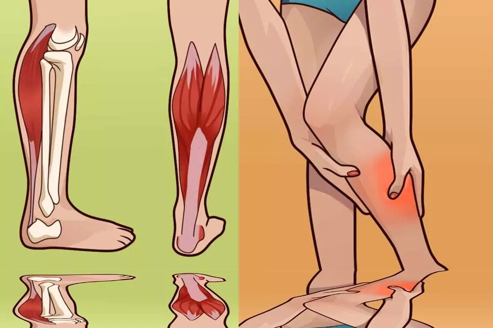 Боль в ноге от колена до стопы спереди, сзади, при ходьбе – причины и лечение