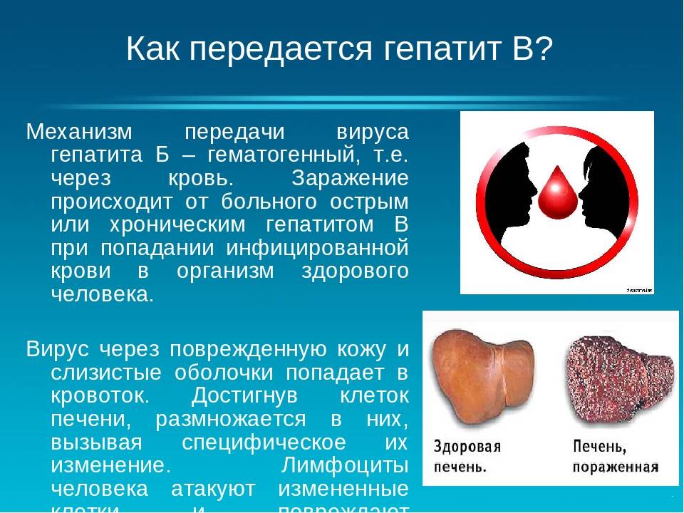 Полностью вылечить гепатит б. Передается ли гепатит б. Вирусное поражение печени.
