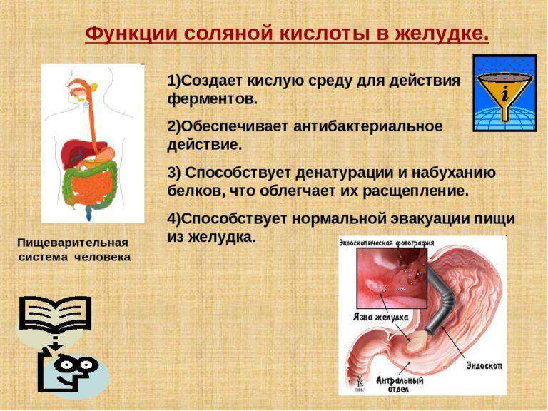Народные средства от повышенной кислотности желудка | журнал здоровье