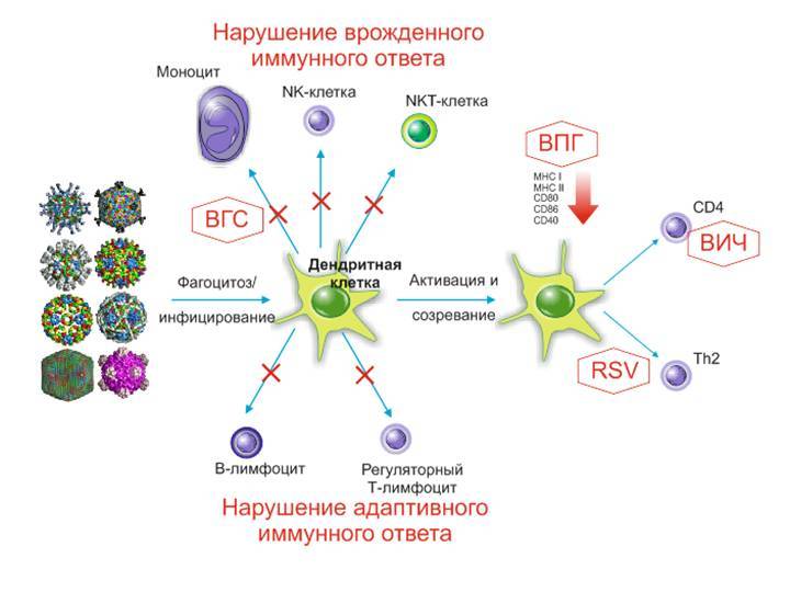 Коронавирус проникает в мозг некоторых пациентов - hi-news.ru