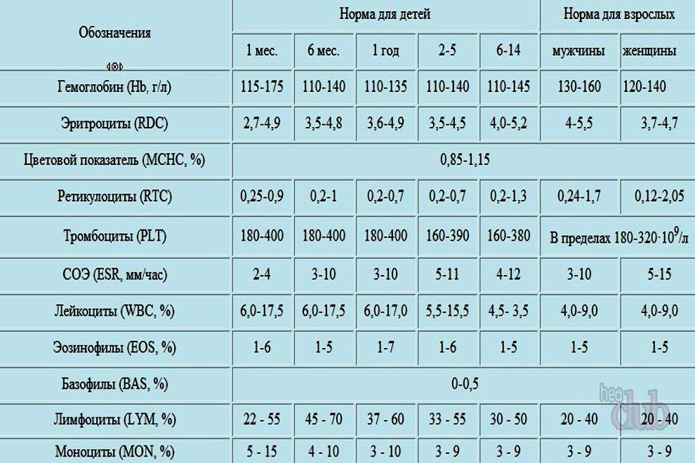 Wbc в анализе крови: расшифровка, норма у женщин по возрасту (таблица)