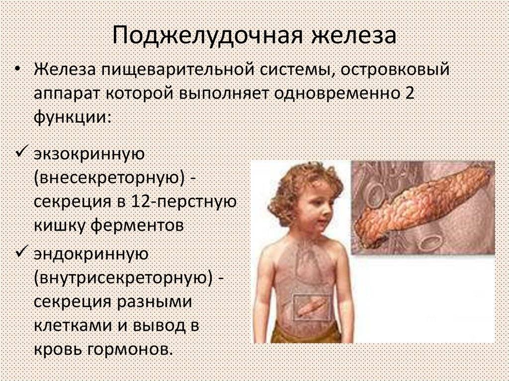 Поджелудочная железа у детей: признаки, симптомы различных заболеваний, воспаления