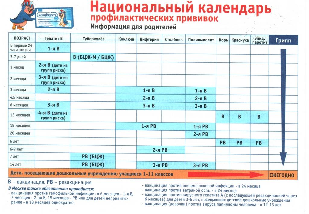 Вакцинация акдс календарь прививок. Прививки от 3 лет таблица. Национальный график прививок для детей в России. Календарь профилактических прививок корь. Прививочный календарь корь.