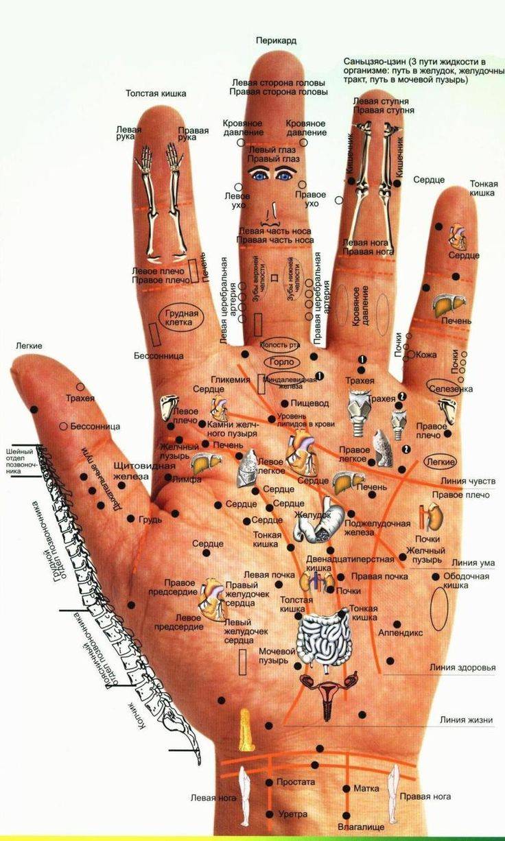 Точки акупунктуры на теле человека. атлас, фото, как делать точечный массаж