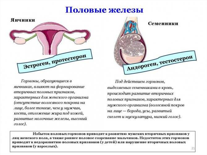 Овариальный резерв яичников: снижение количества ооцитов, возможно ли лечение - ovulyacia.ru