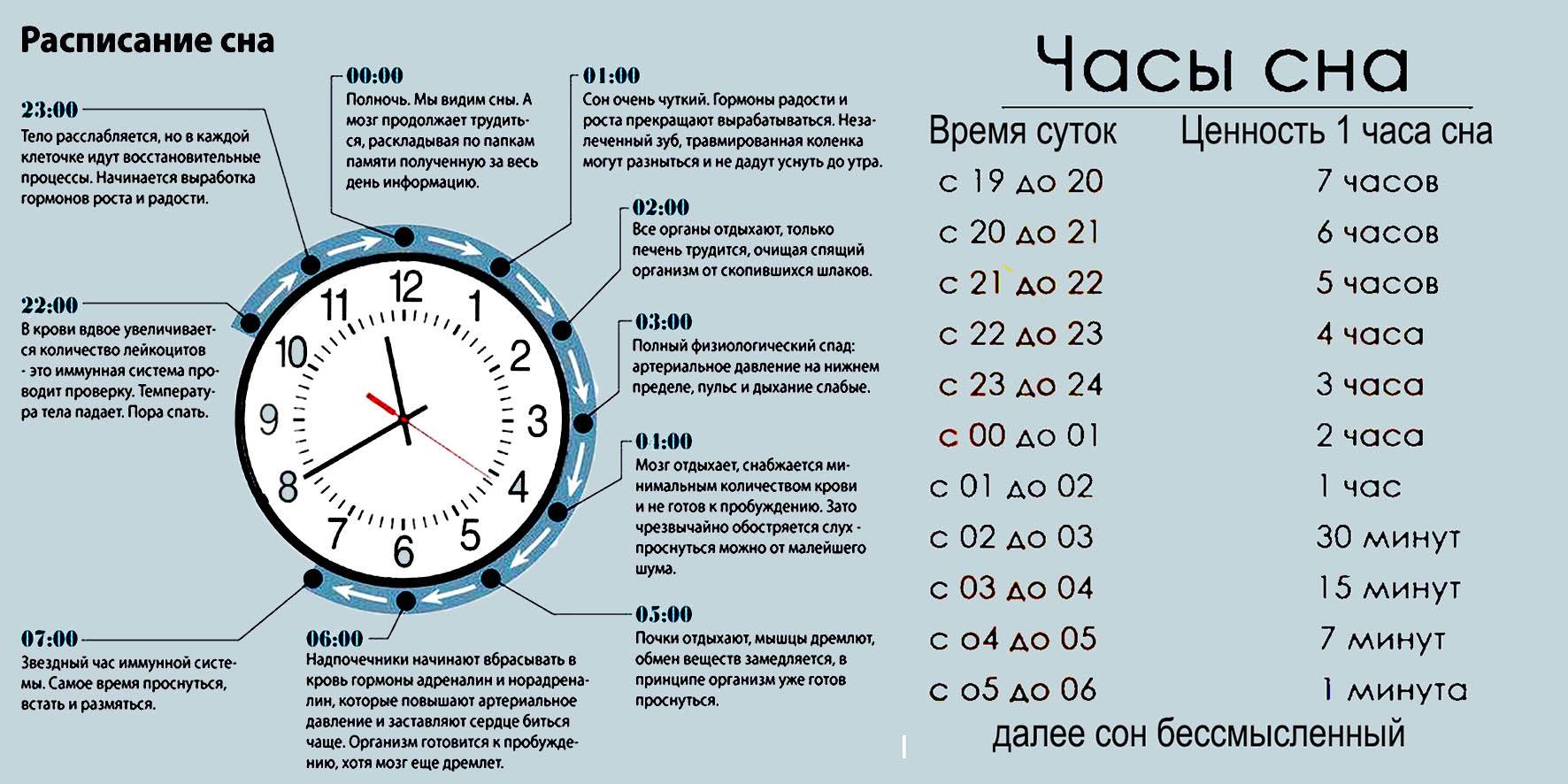 Во сколько сегодня закон. Эффективность сна по часам таблица. Ценность сна. Ценность сна по часам. Часы сна.