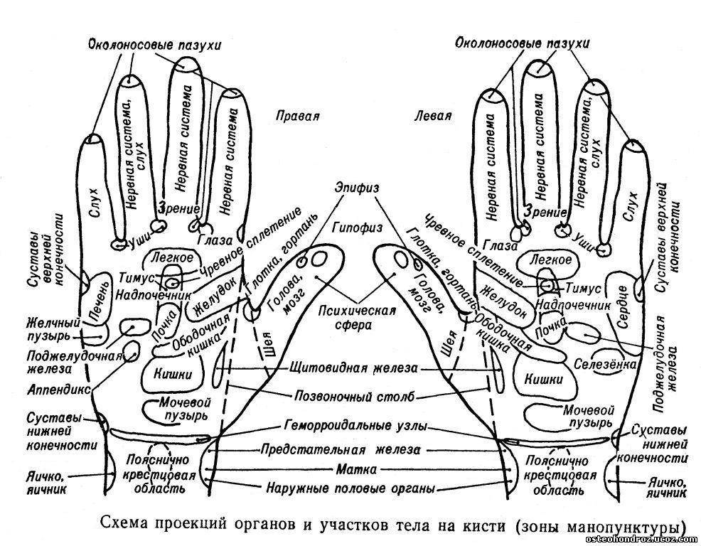 Акупунктурный массаж рук и расположение точек на ладонях