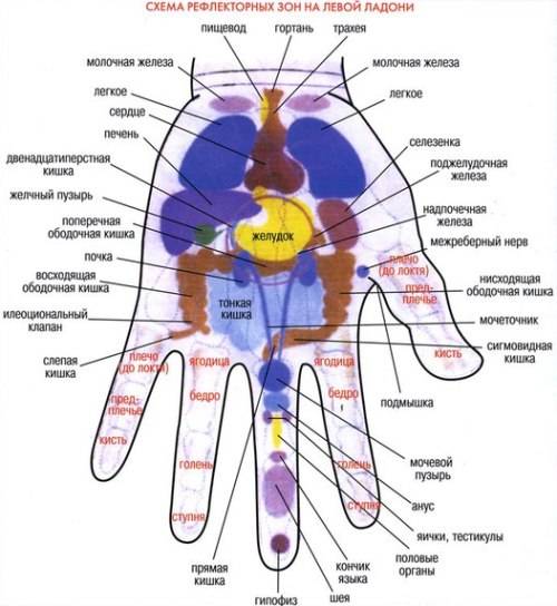 8 волшебных точек на руке расскажут все о состояния вашего организма
