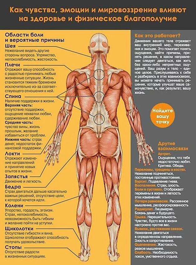 Основные причины блуждающих болей в суставах и мышцах и способы терапии