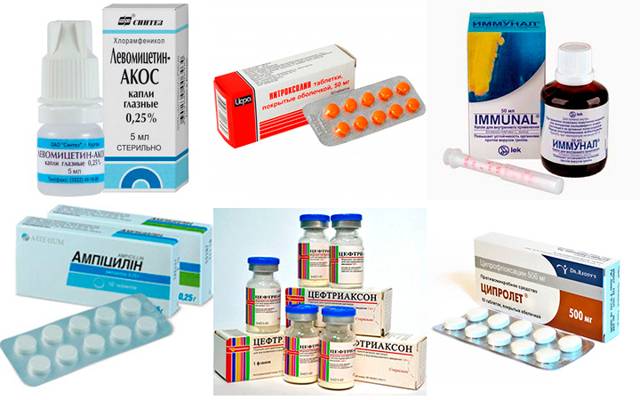 Антибиотики при воспалении лимфоузлов на шее: какие таблетки пить
