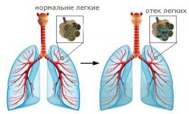 Жидкость в разъеме айфон