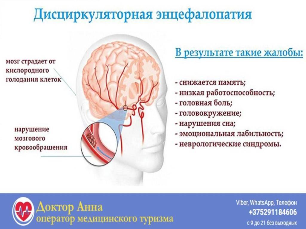 Дисциркуляторная энцефалопатия (дэп): лечение народными средствами, методы, сосудистая, головного мозга