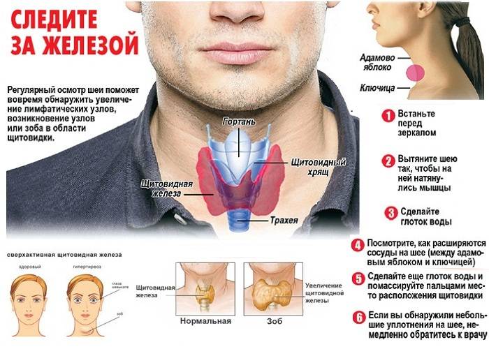 Признаки болезни щитовидной железы у мужчин | pro shchitovidku