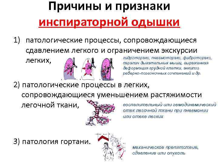 Причины, симптомы и лечение экспираторной и инспираторной одышки | medboli.ru