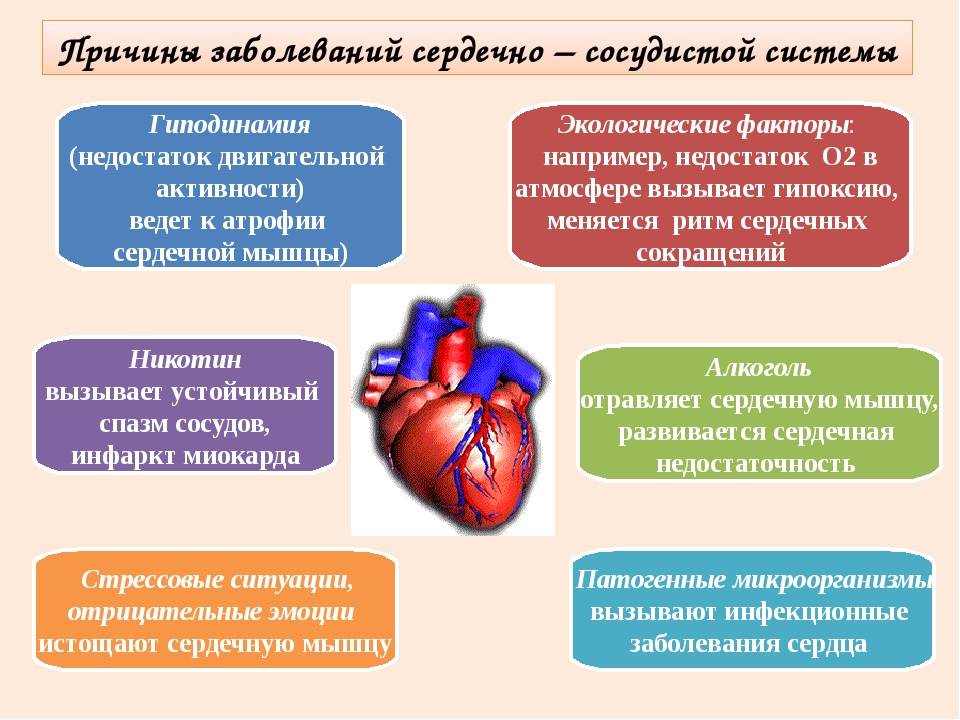 В год к недостаткам. Заболевания сердечно-сосудистой системы. Причины заболевания сердечно-сосудистой системы. Причины сердечно-сосудистых заболеваний. Причины заболевания ССС.