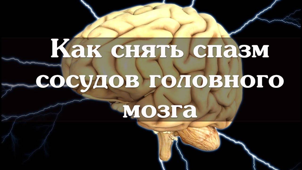 Лекарство спазма сосудов мозга. Мозг в голове.