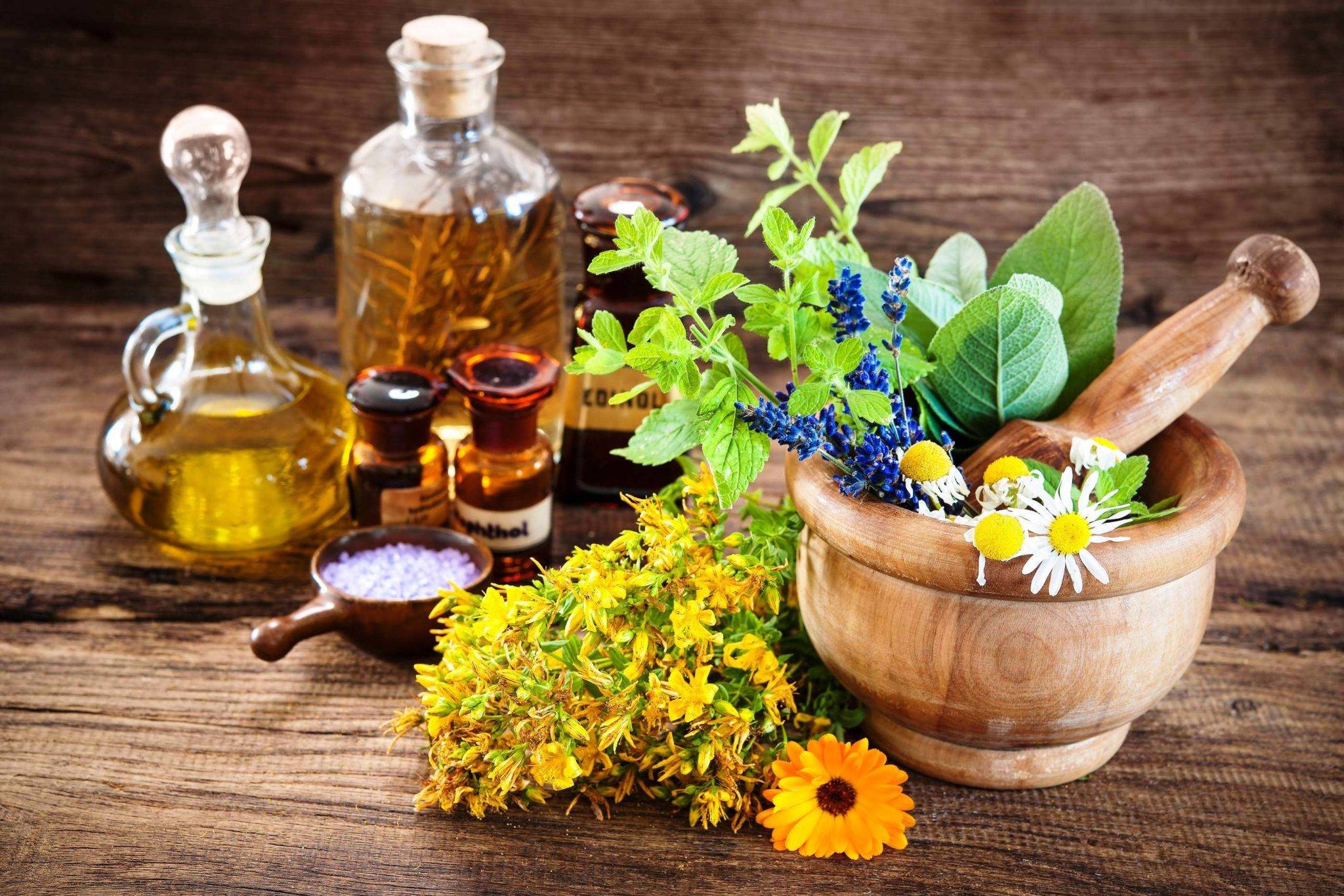 Рецепты, как лечить отваром и соком травы чистотел болезни желудка и кишечника
