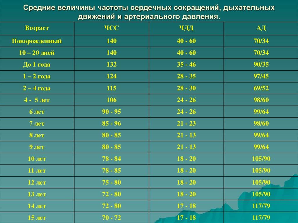 Пульс при физических нагрузках норма у женщин, мужчин, детей по