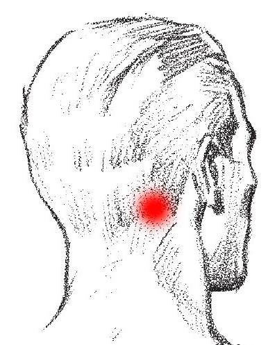 Шишка на шее под кожей справа, слева или сзади у взрослых и детей - методмедика
