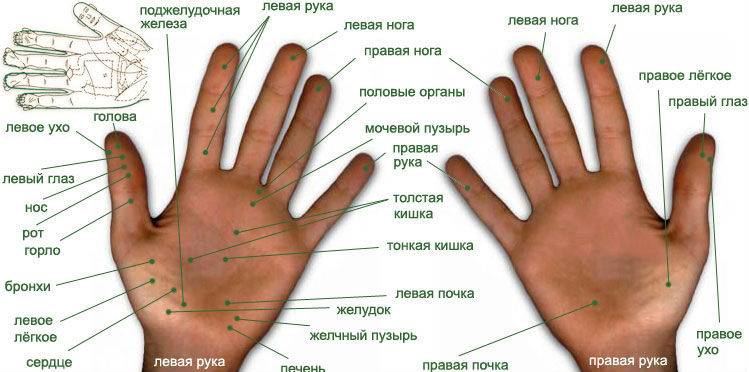 Энергетические точки на руках. акупунктурные точки. где находятся, на какие органы влияют. инструкция массажа