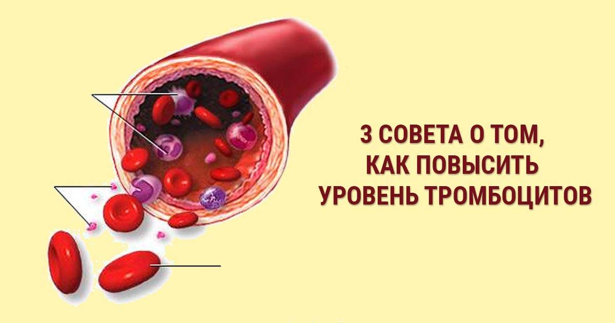 Как повысить тромбоциты в крови: можно ли поднять уровень быстро, как увеличить количество клеток в домашних условиях, препараты, народные средства, продукты
