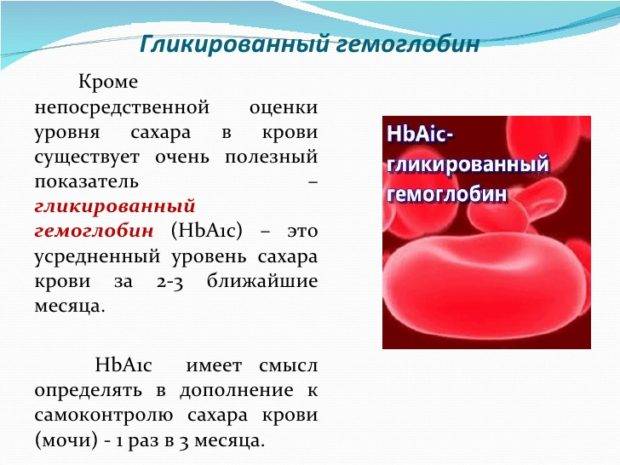 Что показывает гликированный гемоглобин, какова его норма у мужчин и женщин и в каких случаях сдают этот анализ крови?