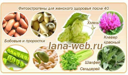Как понизить уровень эстрогенов у женщин: способы коррекции состояния