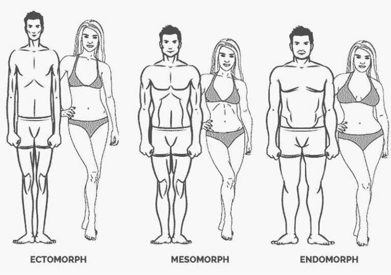 Типы телосложения (эктоморф, мезоморф, эндоморф): как определить свой соматотип