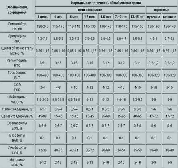 Норма эритроцитов в крови у женщин: таблица по возрасту, уровень эритроцитов в крови норма после 50 лет