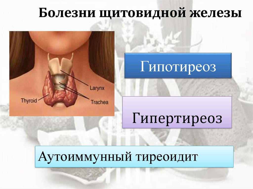 Щитовидная железа симптомы | pro shchitovidku