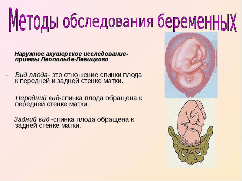 Глава 09. физиология родов