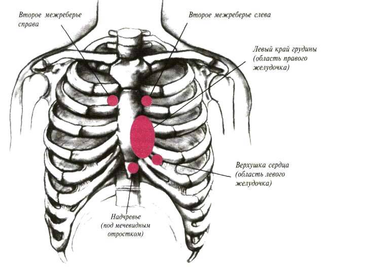 От чего может болеть грудная клетка. Что болит посередине грудной клетки между ребрами спереди. Что болит внизу между ребрами спереди. Болят ребра спереди посередине грудной клетки. Боли ребер грудной клетки справа спереди.