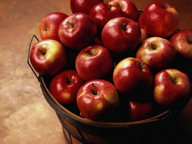 Яблоки при гастрите и способы употребления в различных видах
