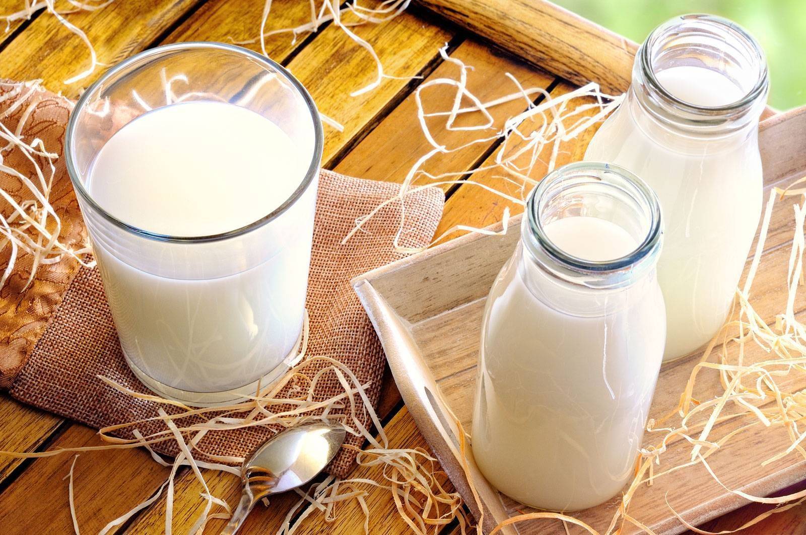 Какие молочные продукты можно при гастрите?