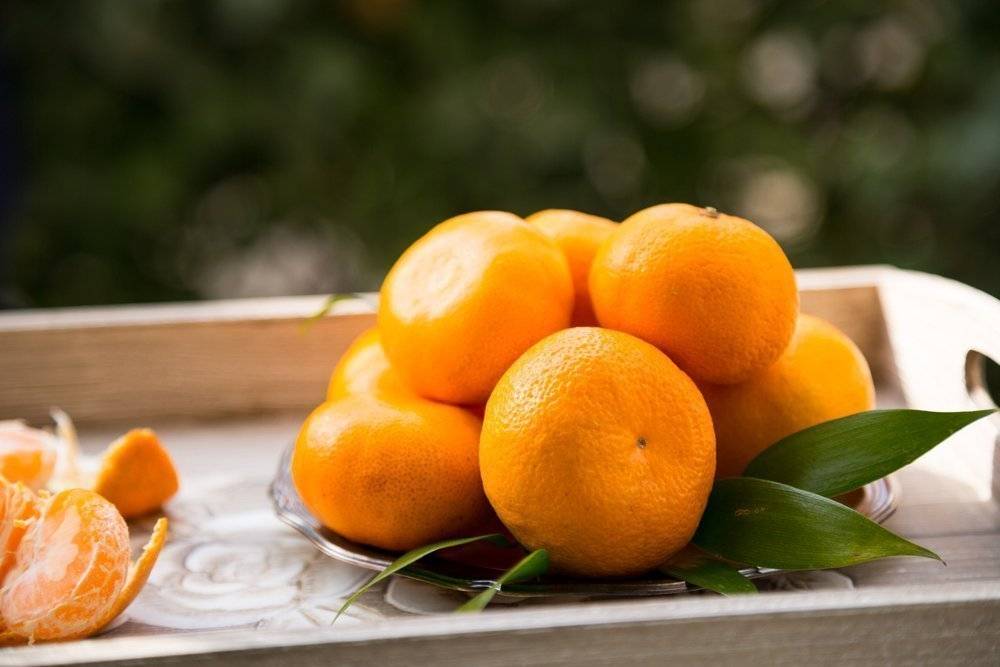 Можно ли есть мандарины при гастрите желудка с повышенной кислотностью: польза и вред