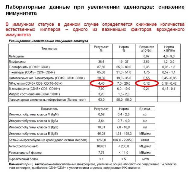 Асл-о (антистрептолизин-о) в анализе крови: что это такое,норма и причины повышения - kardiobit.ru