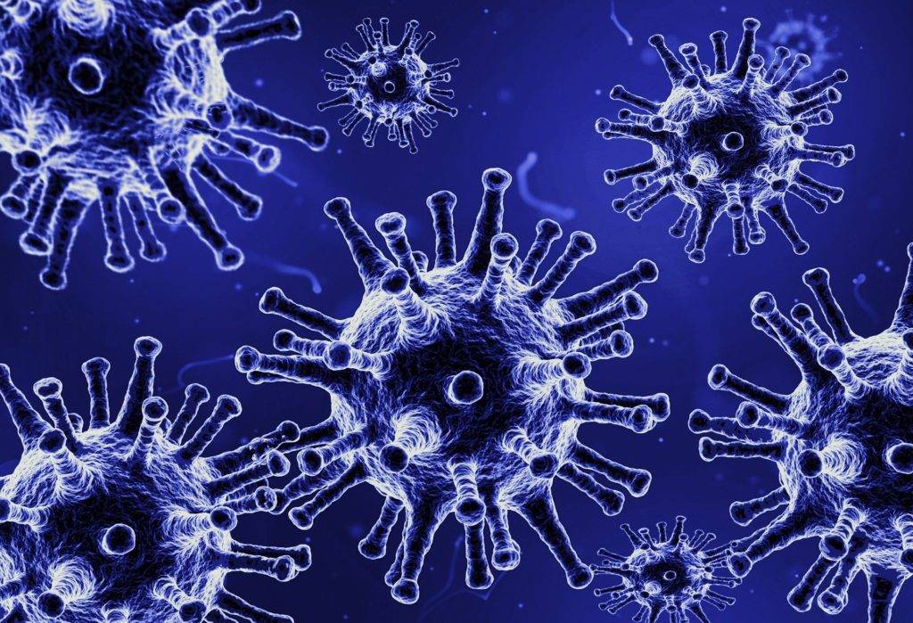 Коронавирус и иммунитет: можно ли заболеть covid-19 повторно?