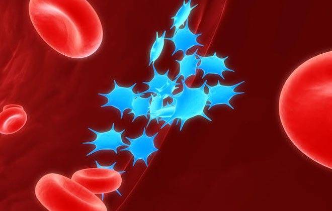 Как повысить тромбоциты в крови: чем поднять быстро в домашних условиях